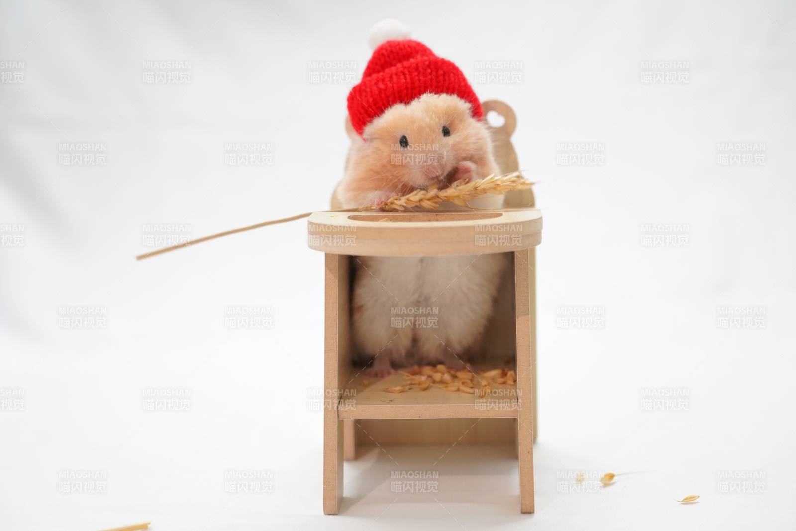 小鼠圣诞餐桌图片