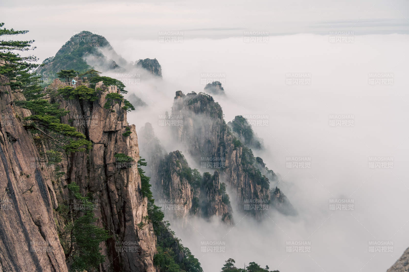 云海之上的黄山奇景图片