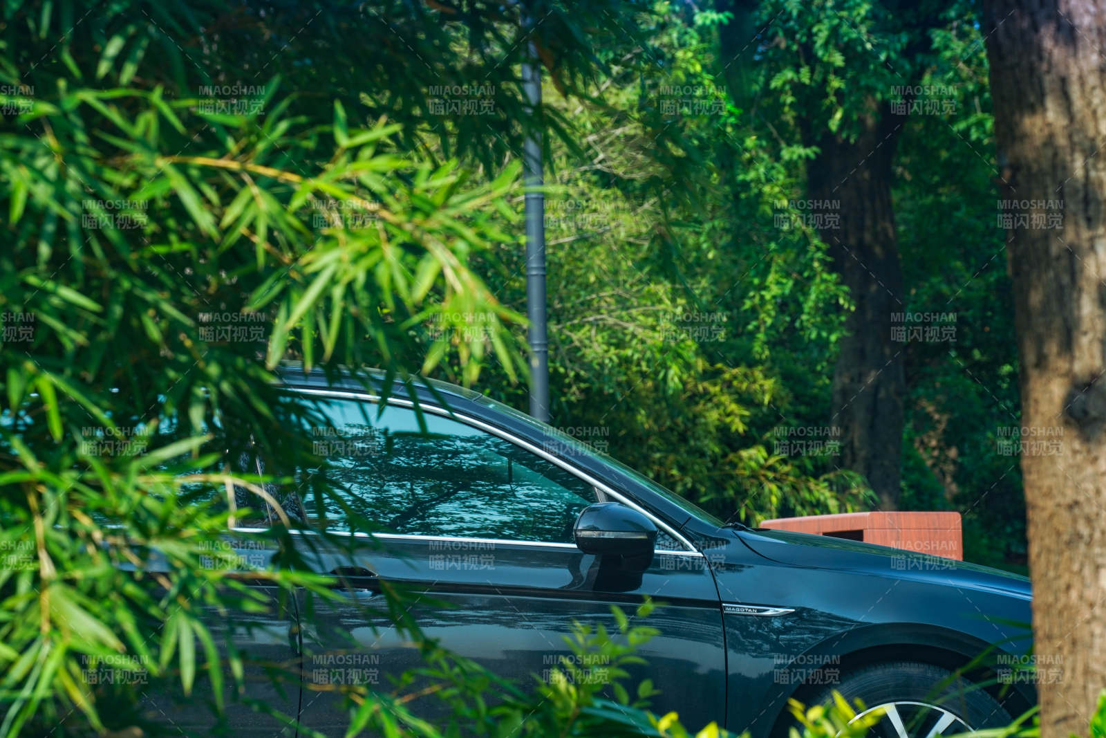 车在绿树荫下的宁静图片