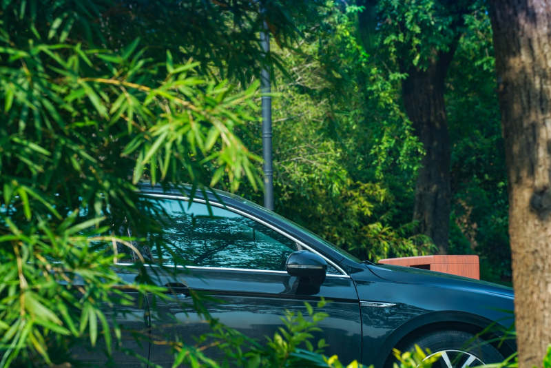 车在绿树荫下的宁静图片