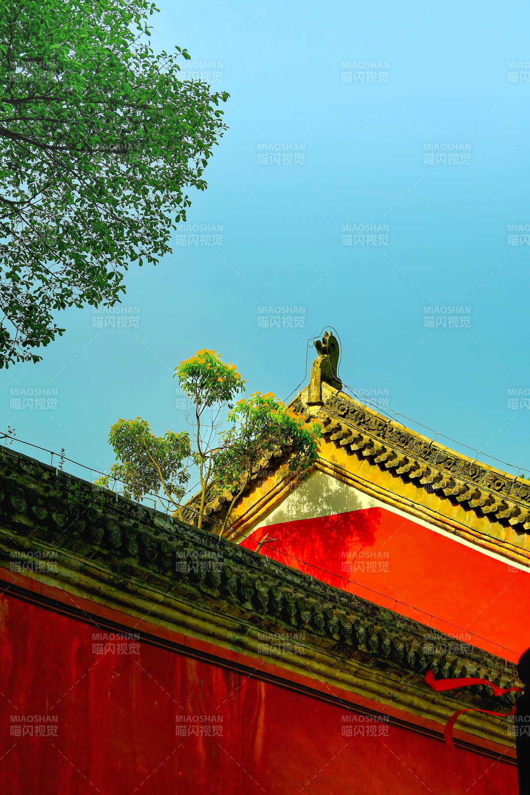 古建筑与绿树图片