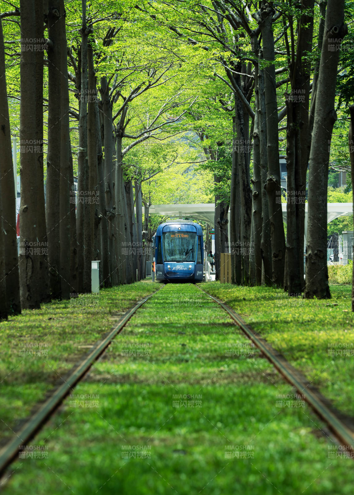林间铁轨上的蓝色列车图片