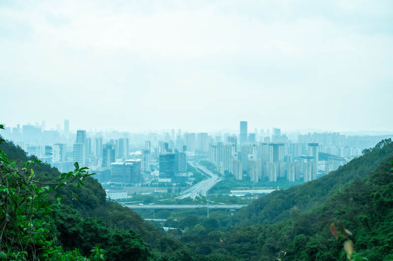 城市与自然的交汇图片