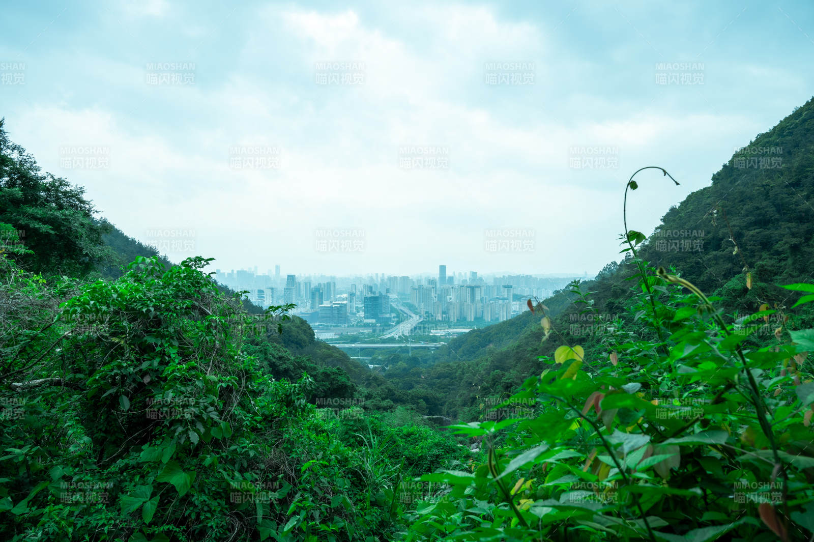 山林中的城市远景图片