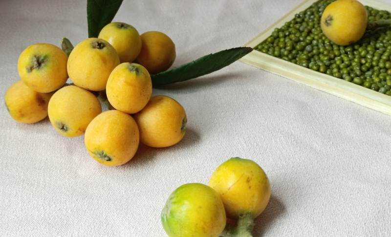 枇杷与绿豆图片