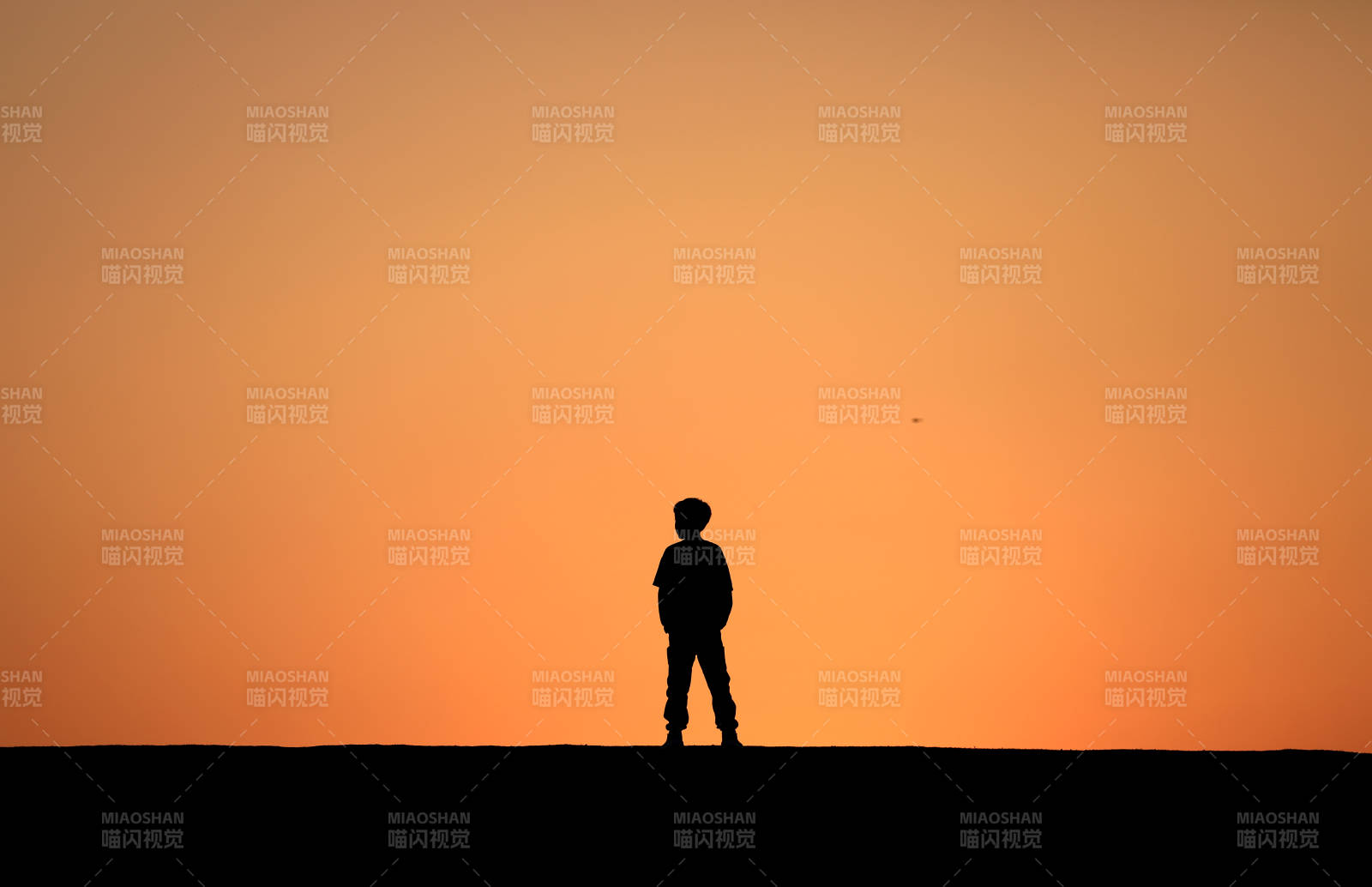 夕阳下的孤独身影图片