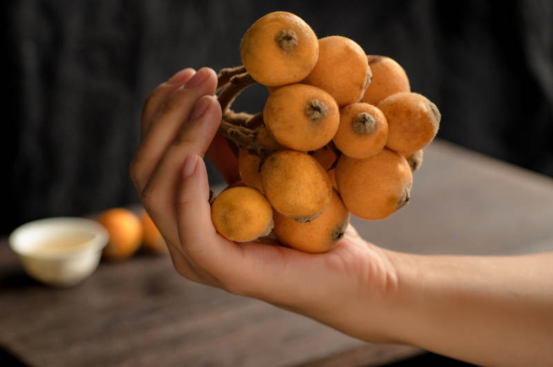 手持一串橙色枇杷图片