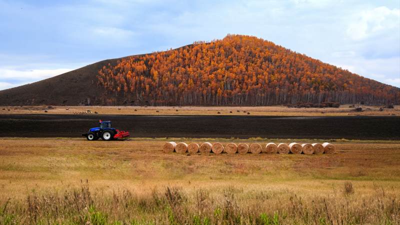 内蒙古秋收田野拖拉机图片