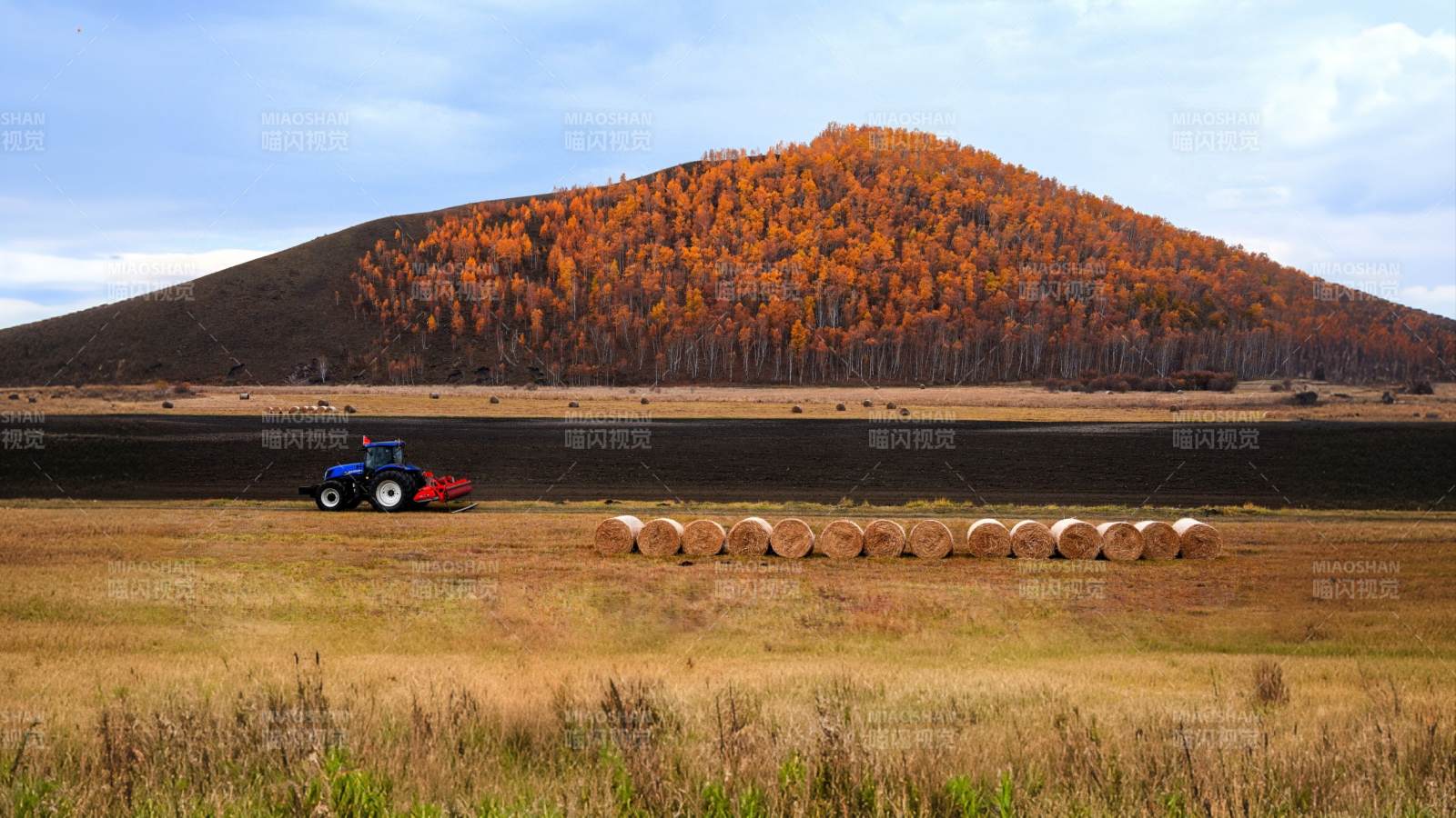 内蒙古秋收田野拖拉机图片