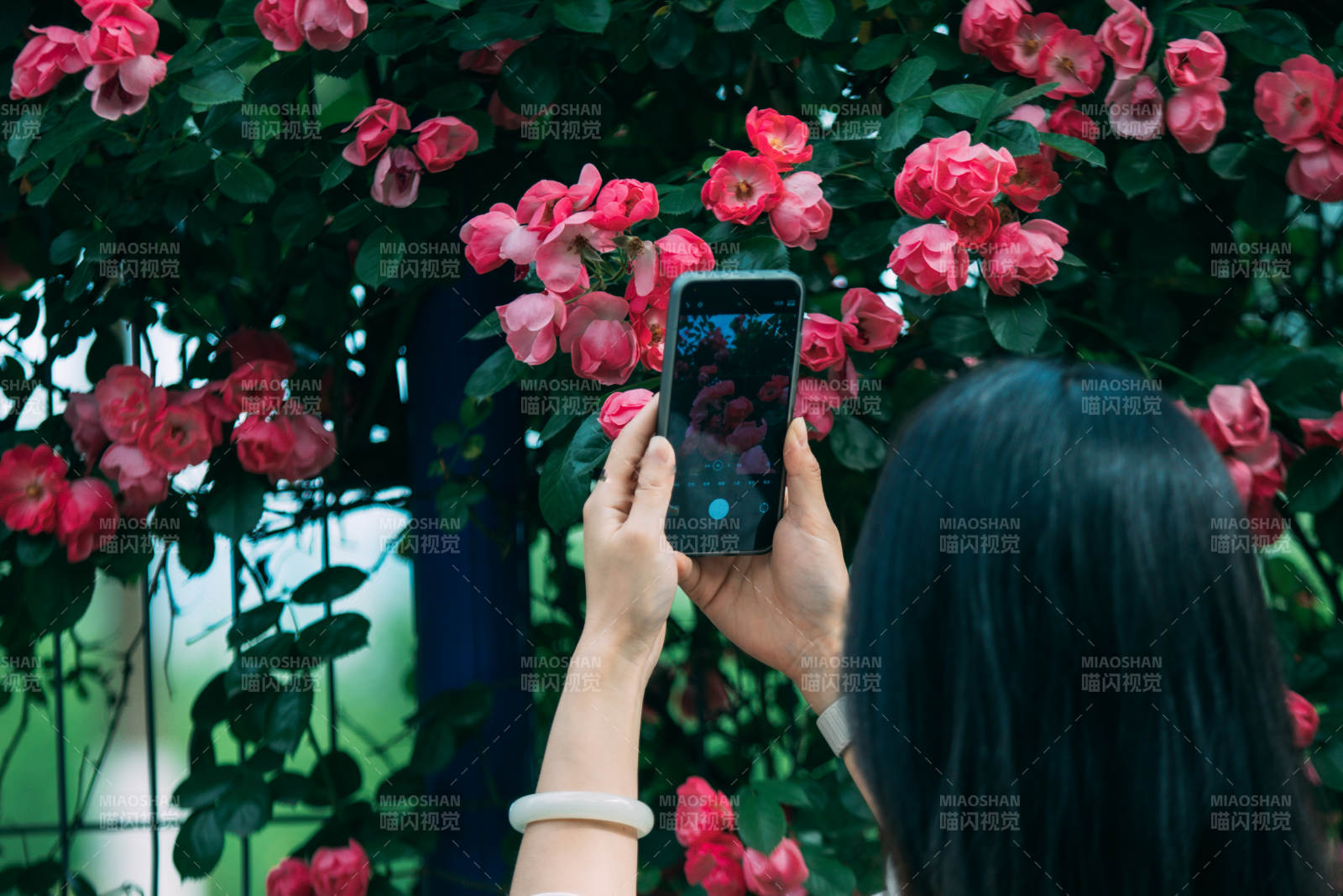 拍摄花海瞬间图片