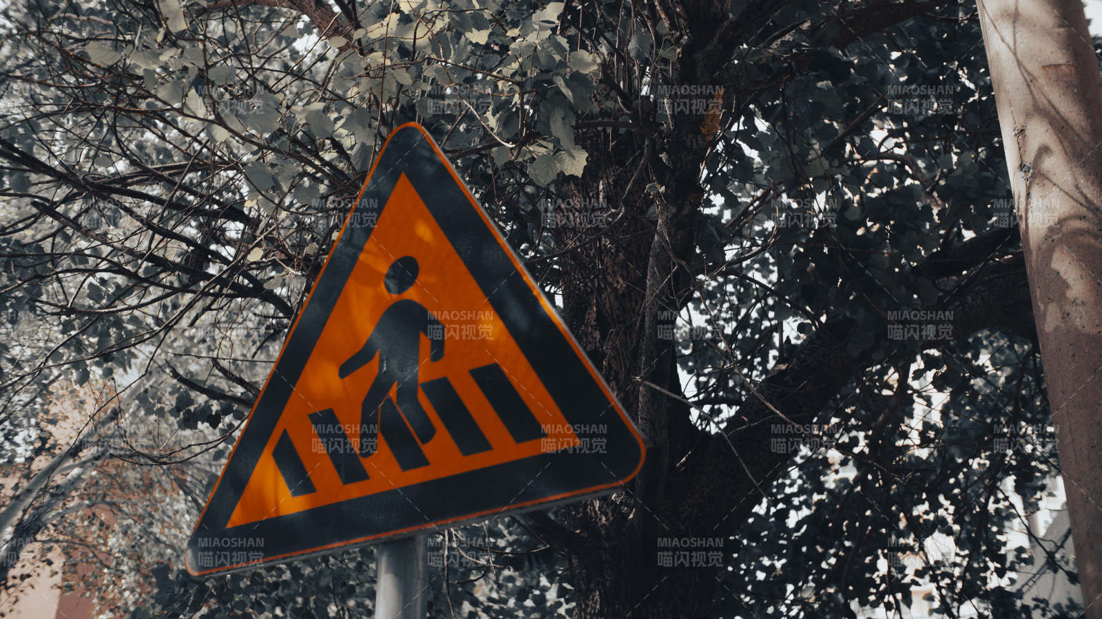 行人过街标志图片