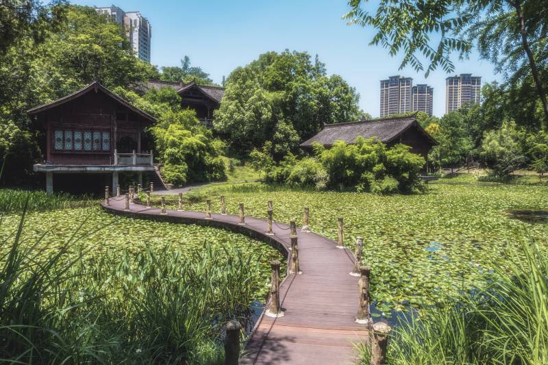 城市绿洲 木桥与古建筑图片