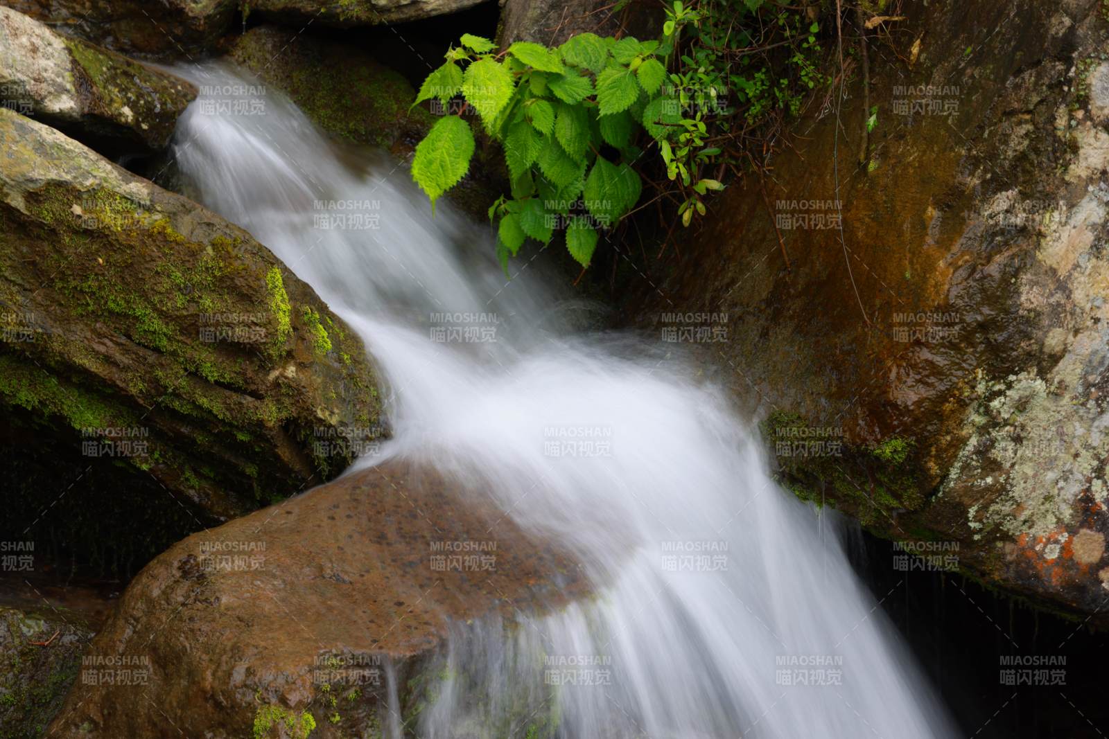 山涧溪流图片