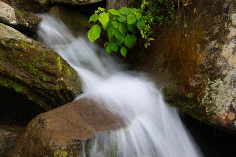 山涧溪流图片