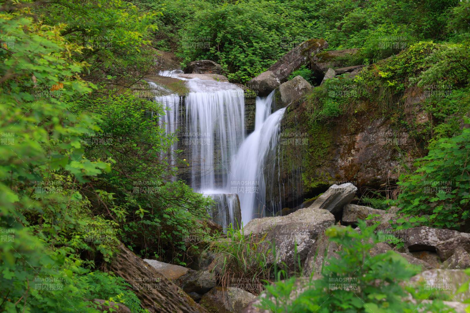 森林瀑布图片