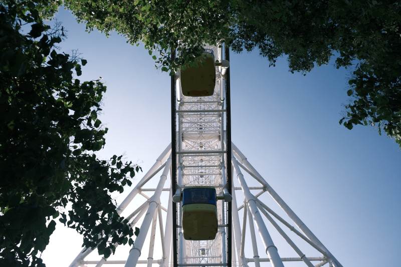 摩天轮下的树影图片