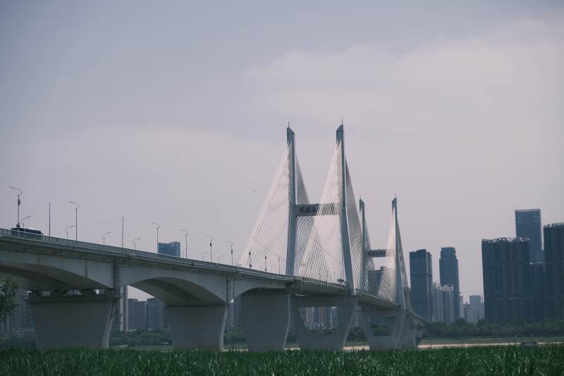 城市天际线与桥梁图片