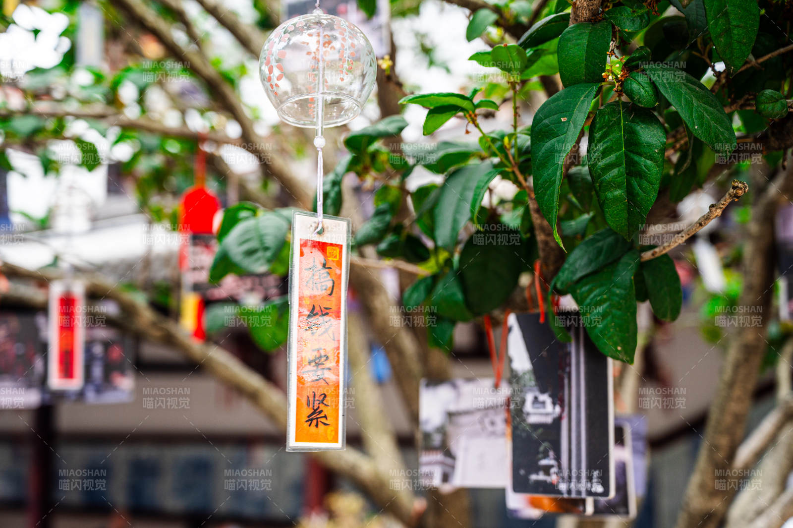 树上悬挂的许愿牌图片