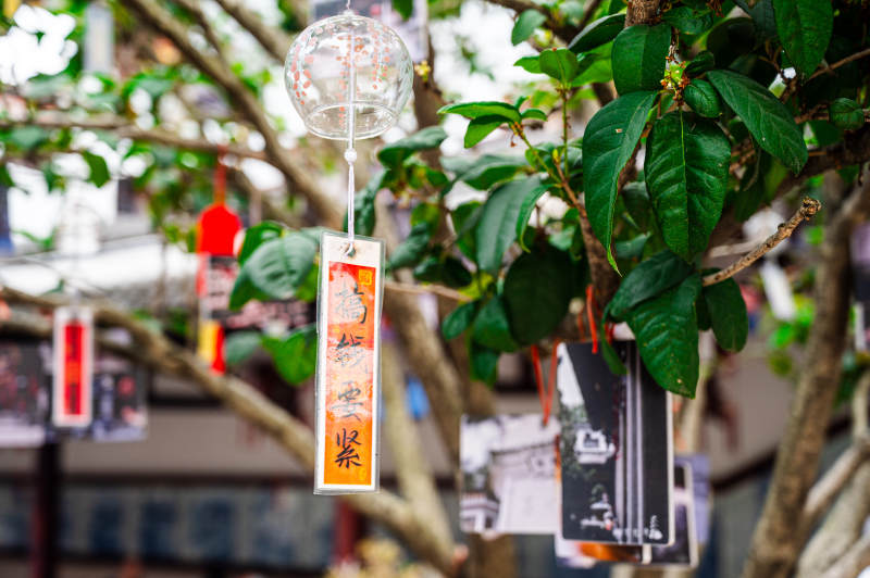 树上悬挂的许愿牌图片