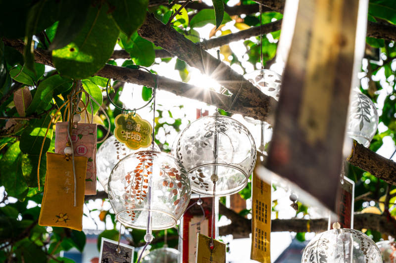 阳光下的风铃图片