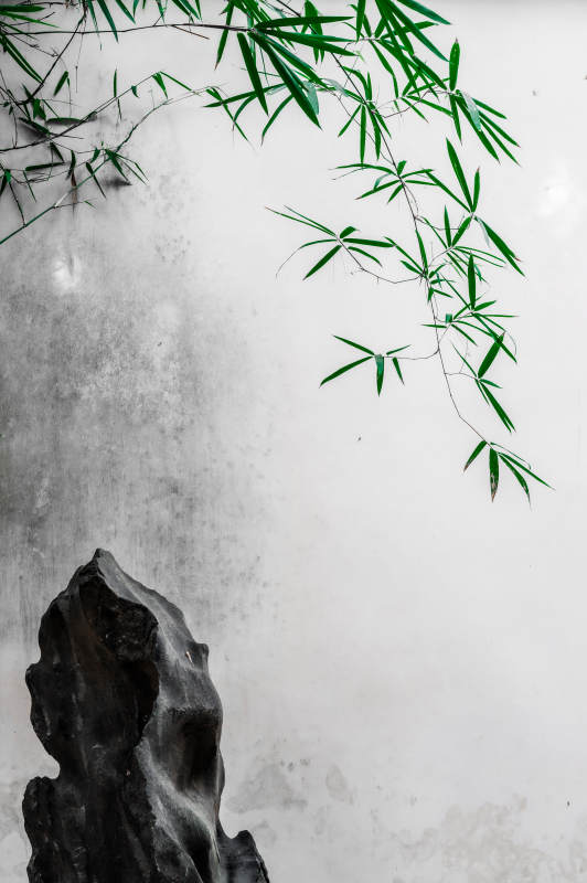竹影石韵图片