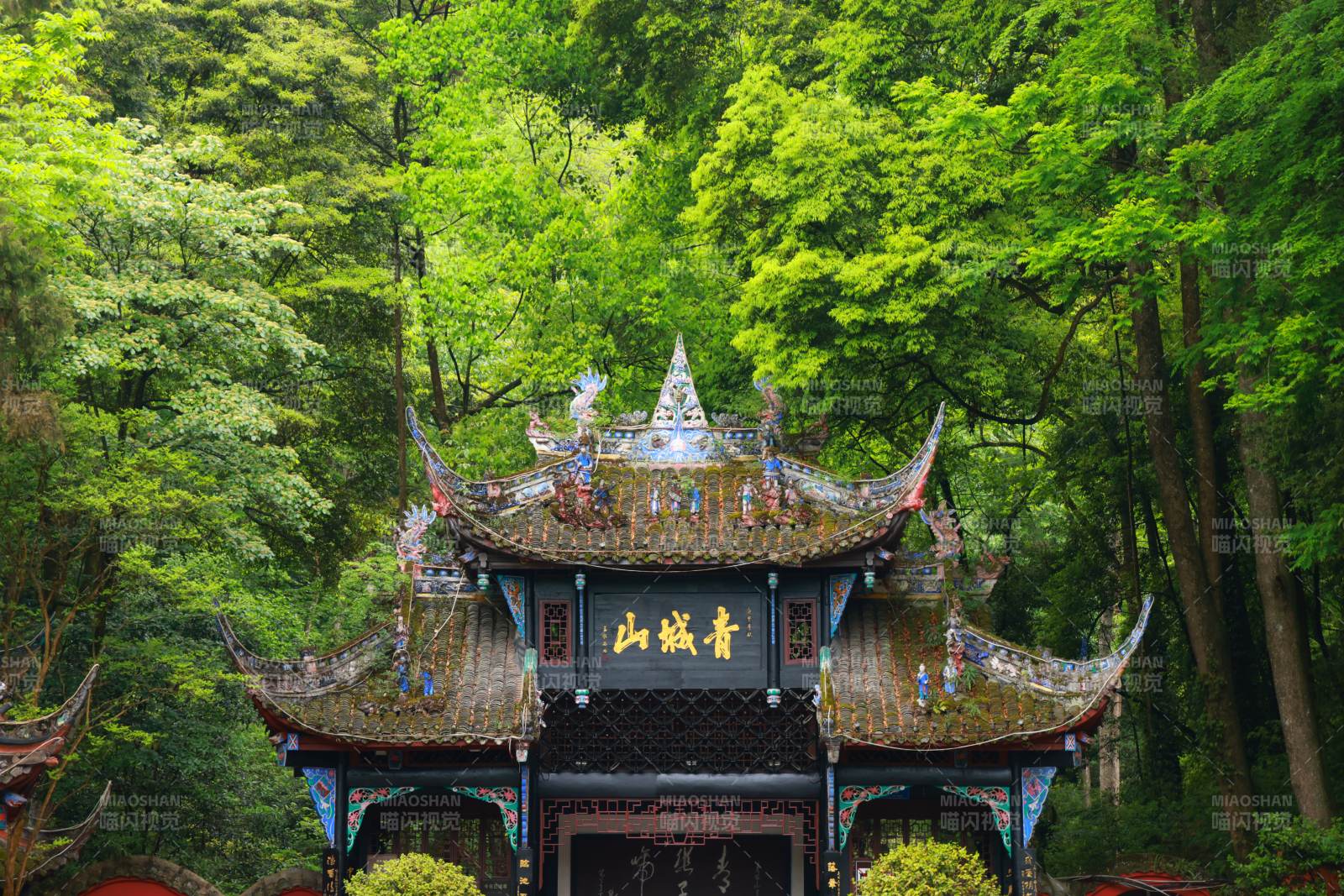 古刹隐于绿林间图片