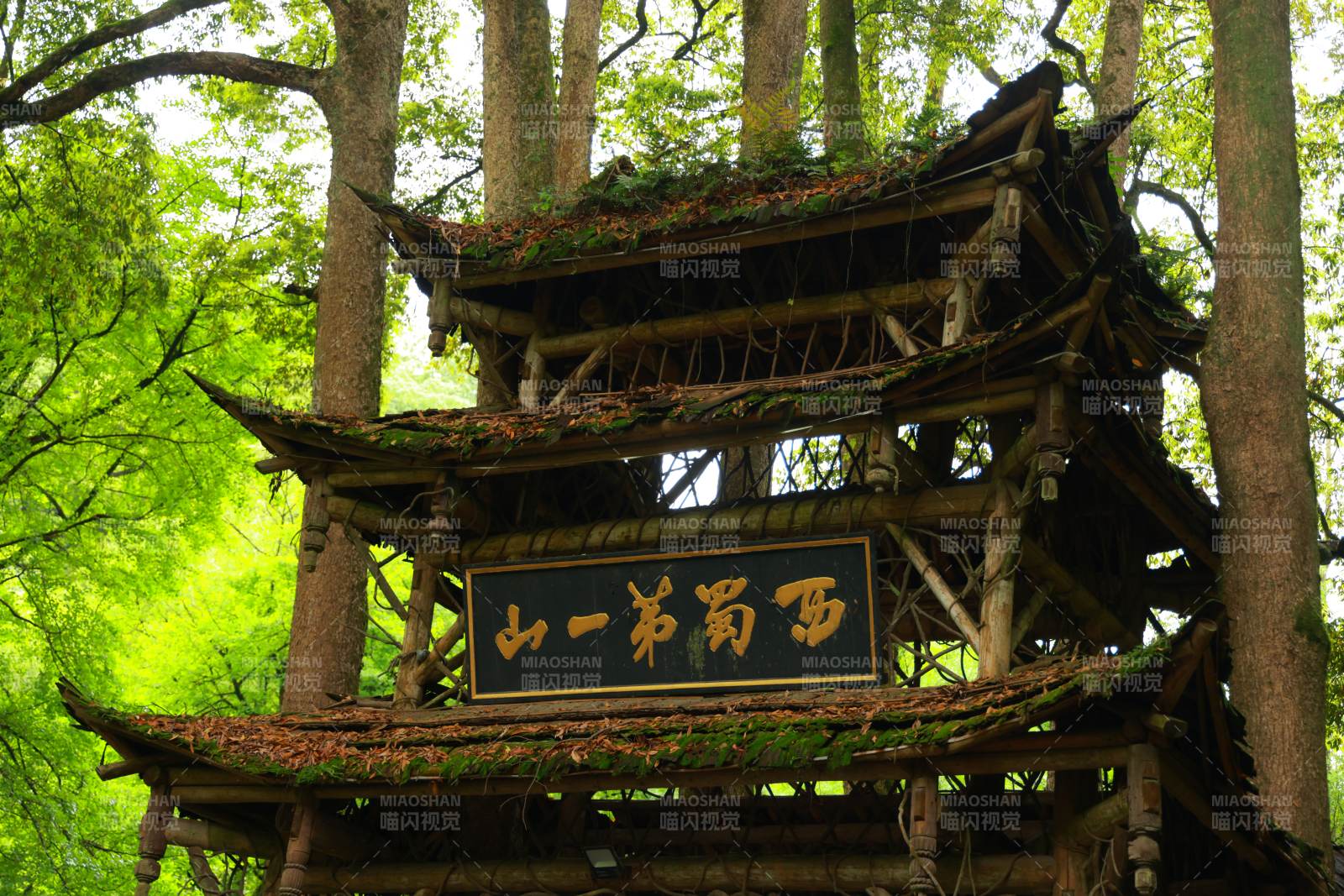 古塔翠林间图片