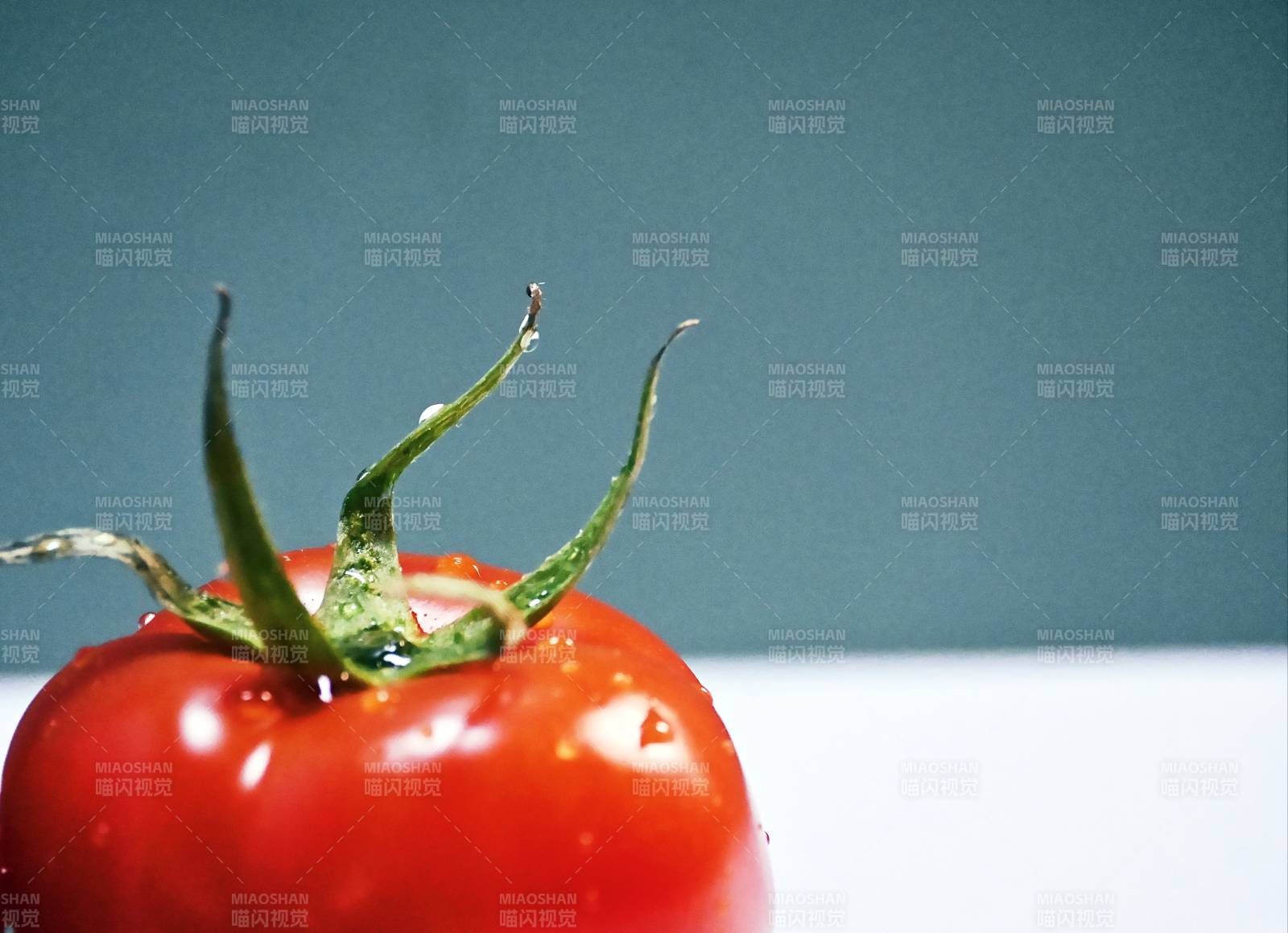 鲜红的番茄图片