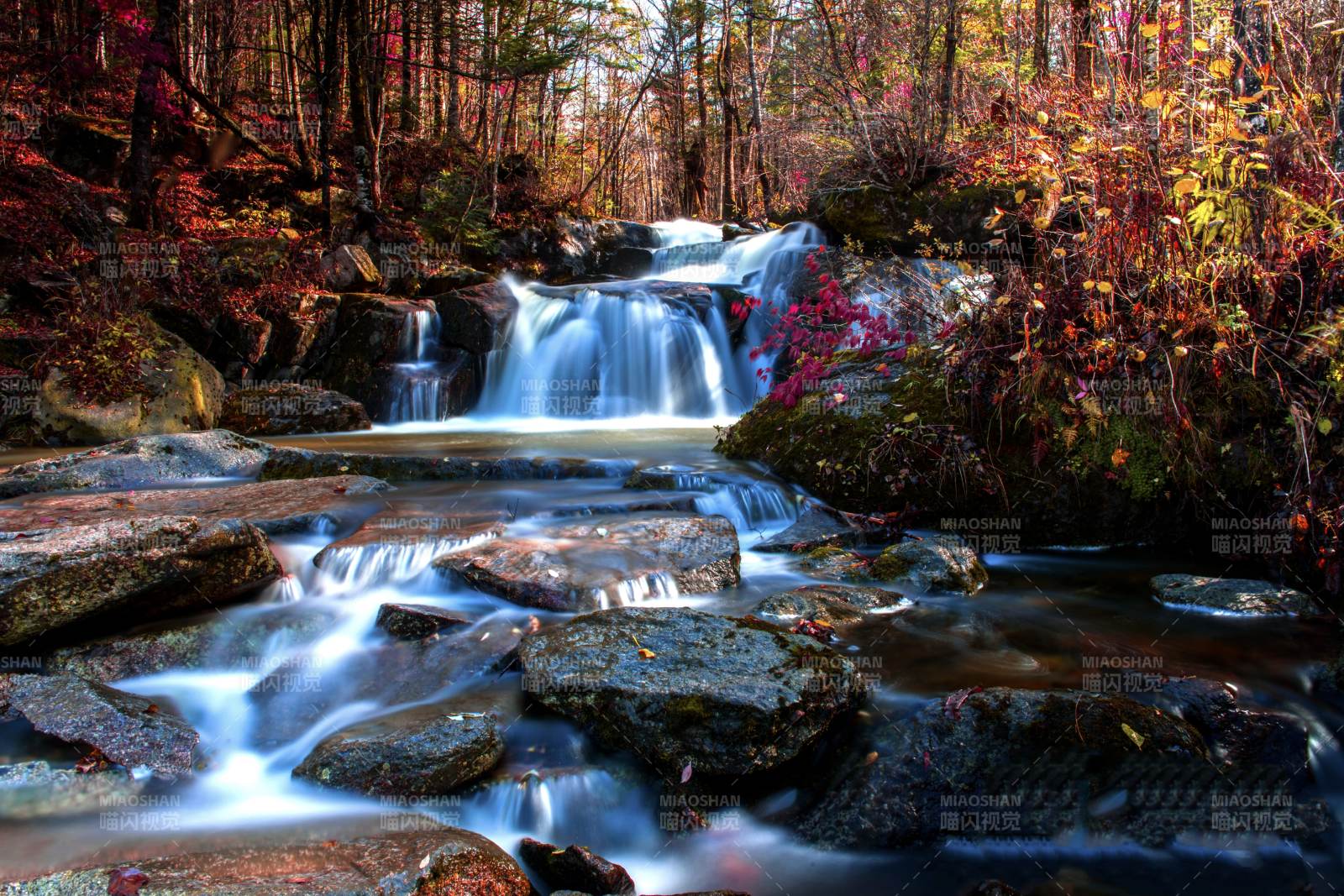 秋日森林瀑布图片