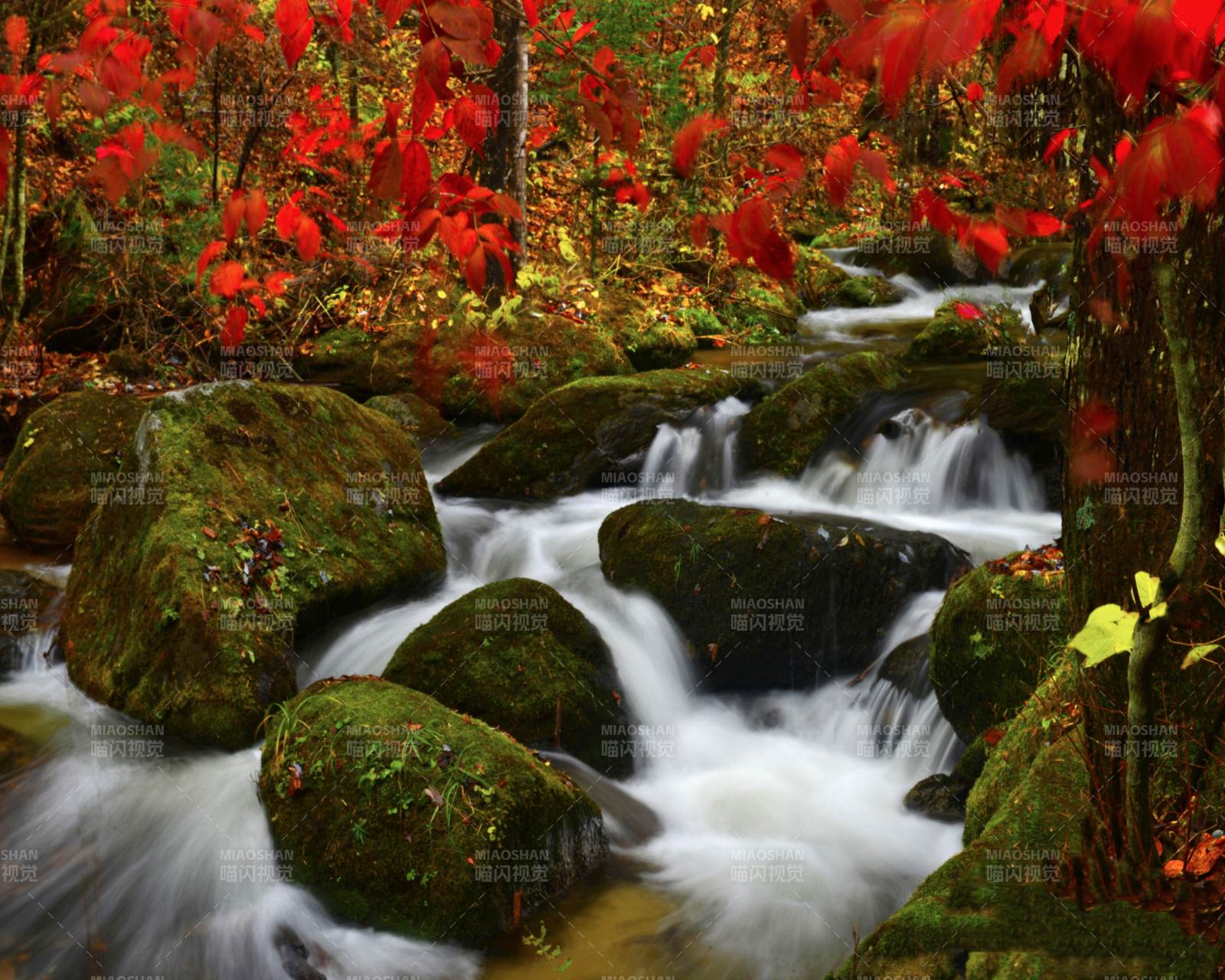 秋日山溪图片