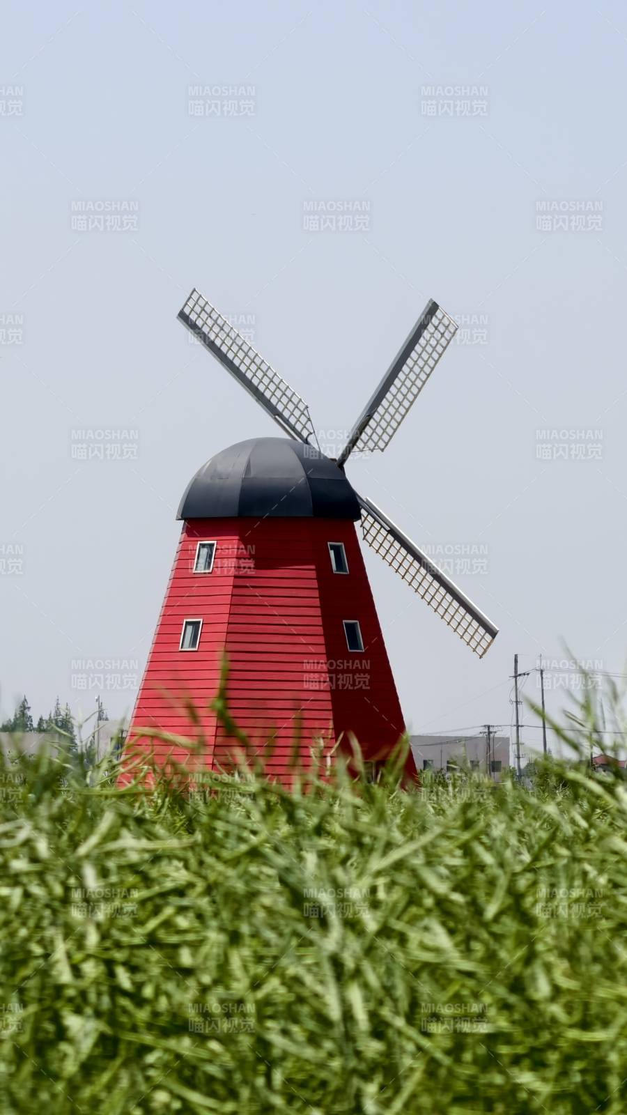红色风车在田野图片