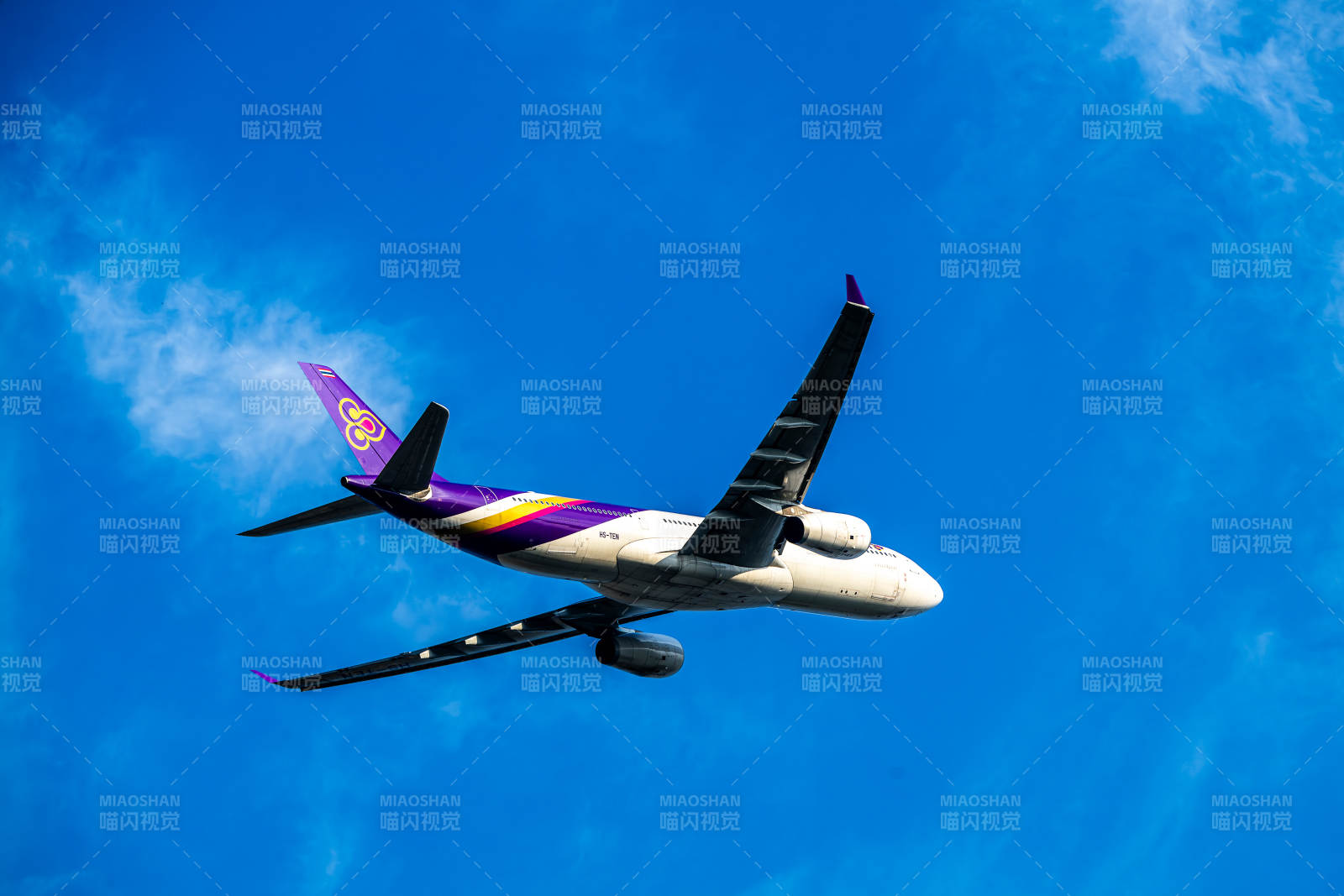 紫色尾翼的飞机图片