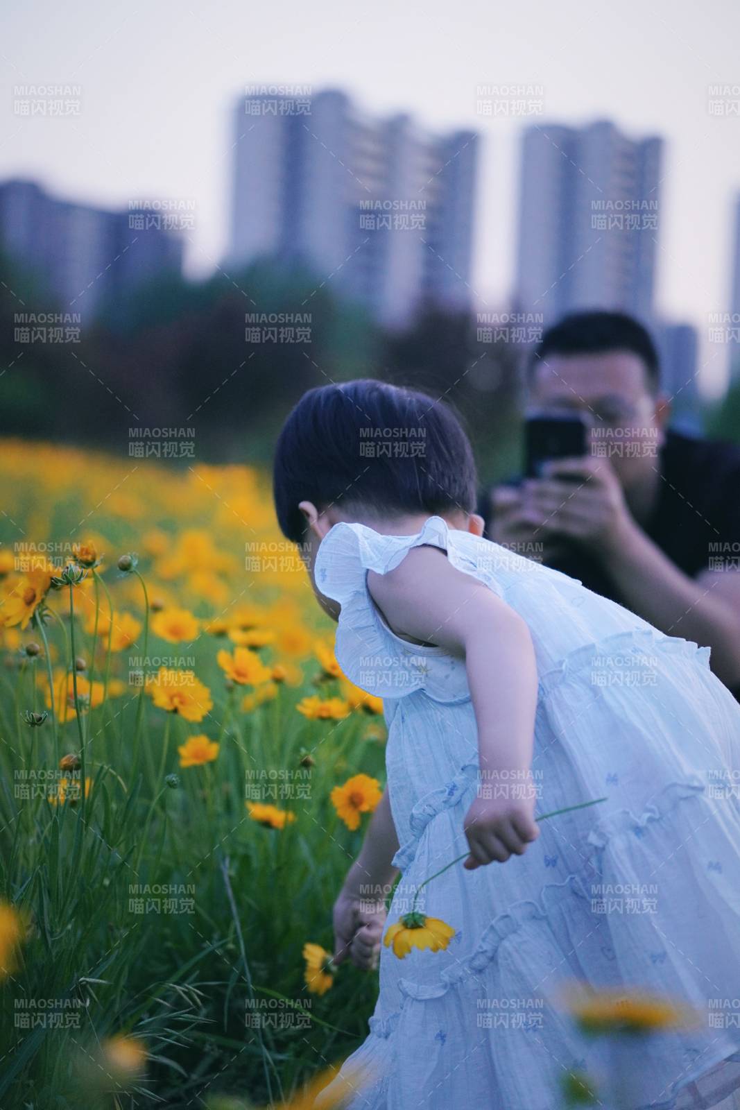 花海中的童年时光图片