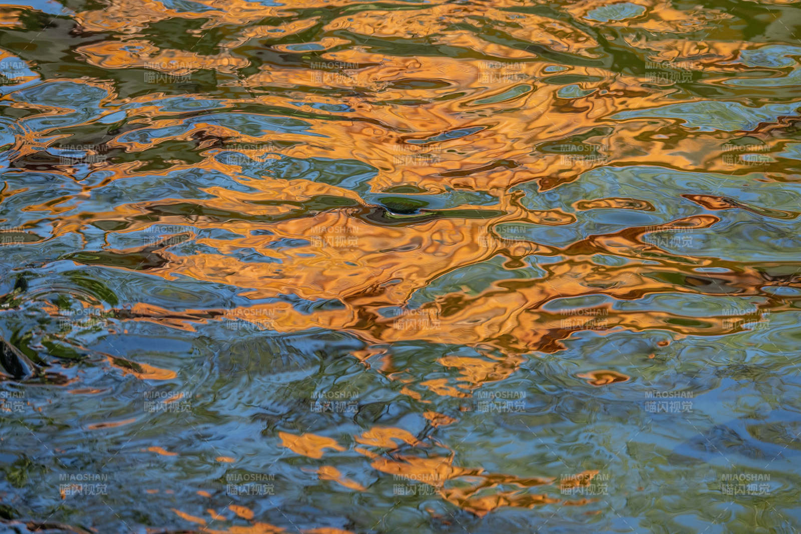 水面倒影的金色光芒图片