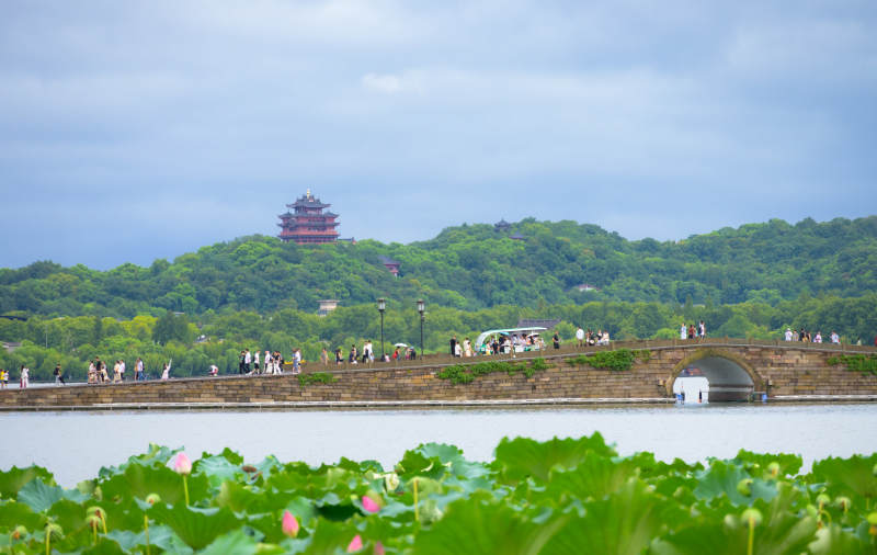 西湖断桥与雷峰塔图片