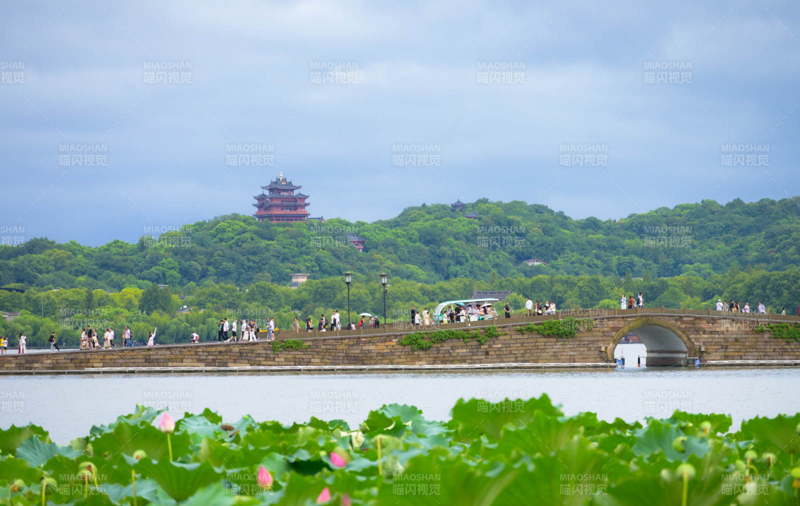 西湖断桥与雷峰塔图片