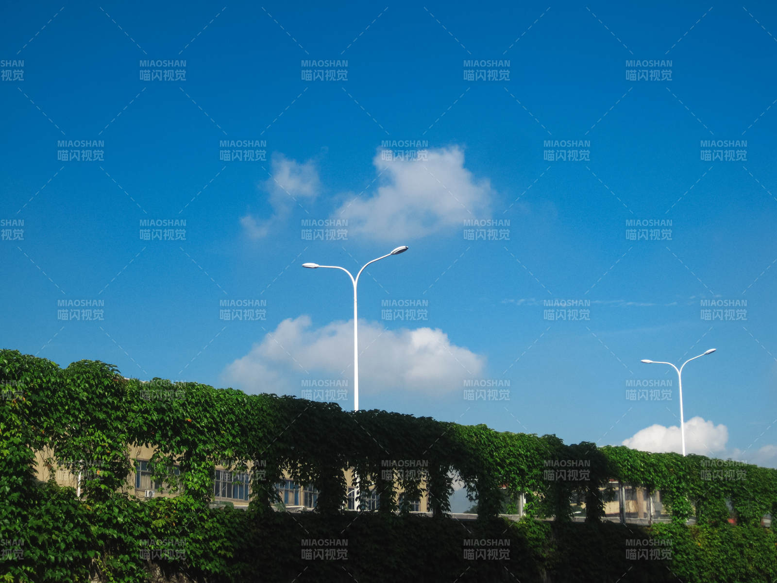 蓝天绿墙灯柱景图片