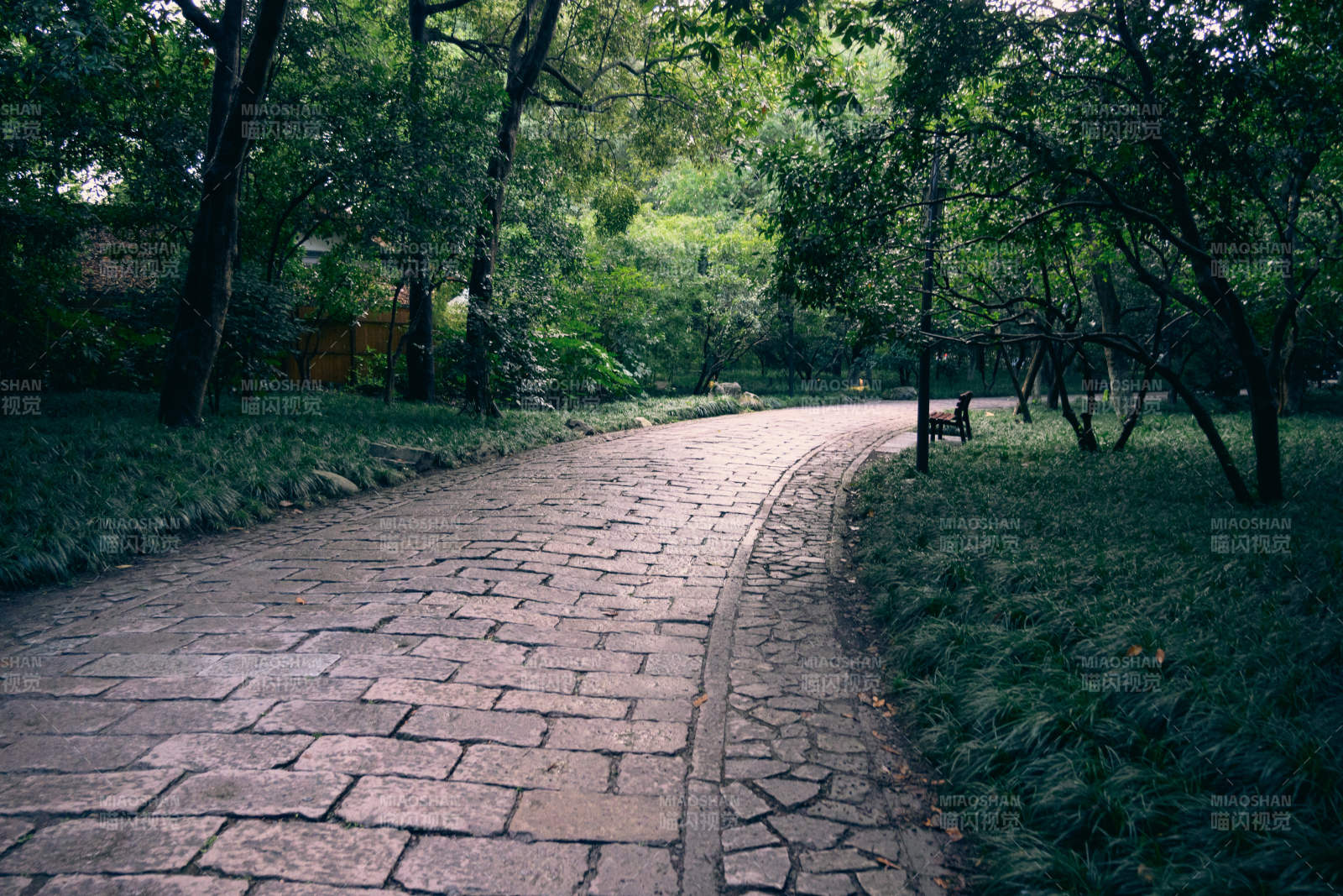 公园小径图片
