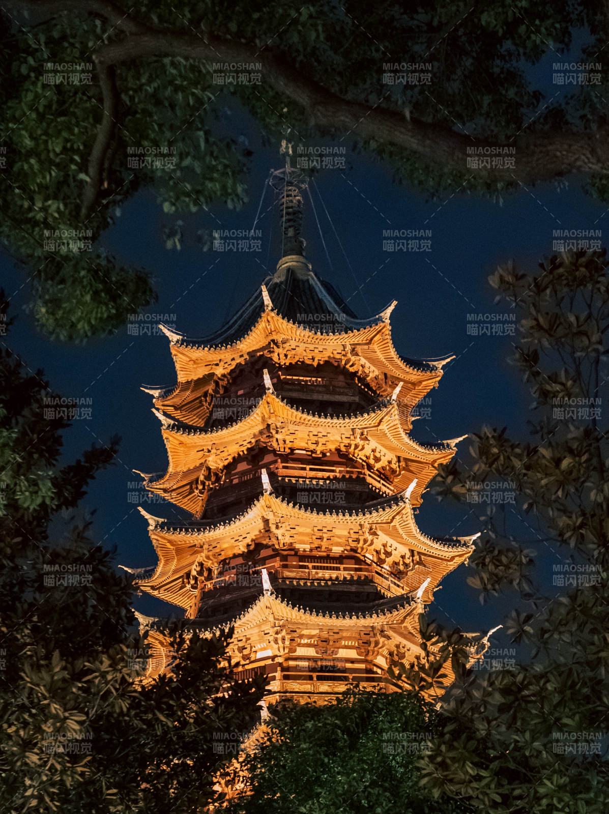 夜色中的金色宝塔图片