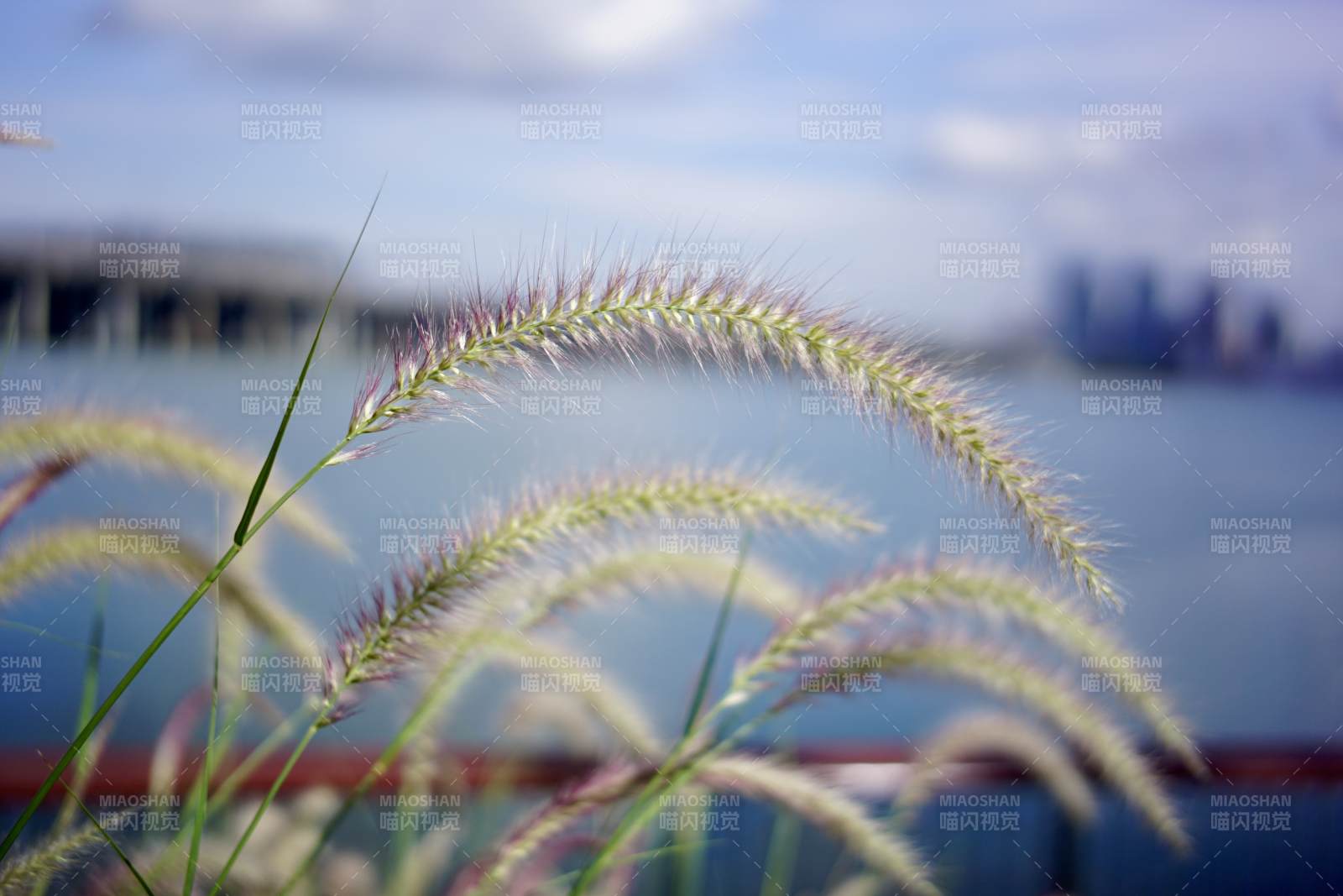 城市边缘的自然美景图片