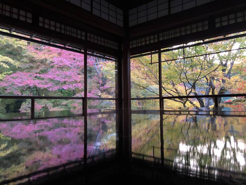 秋日庭院景图片