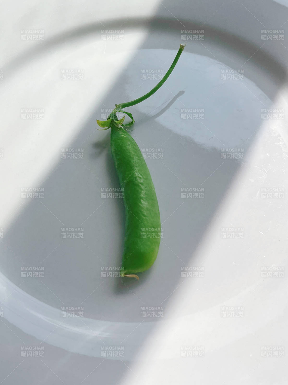 豌豆荚在白色盘子上图片