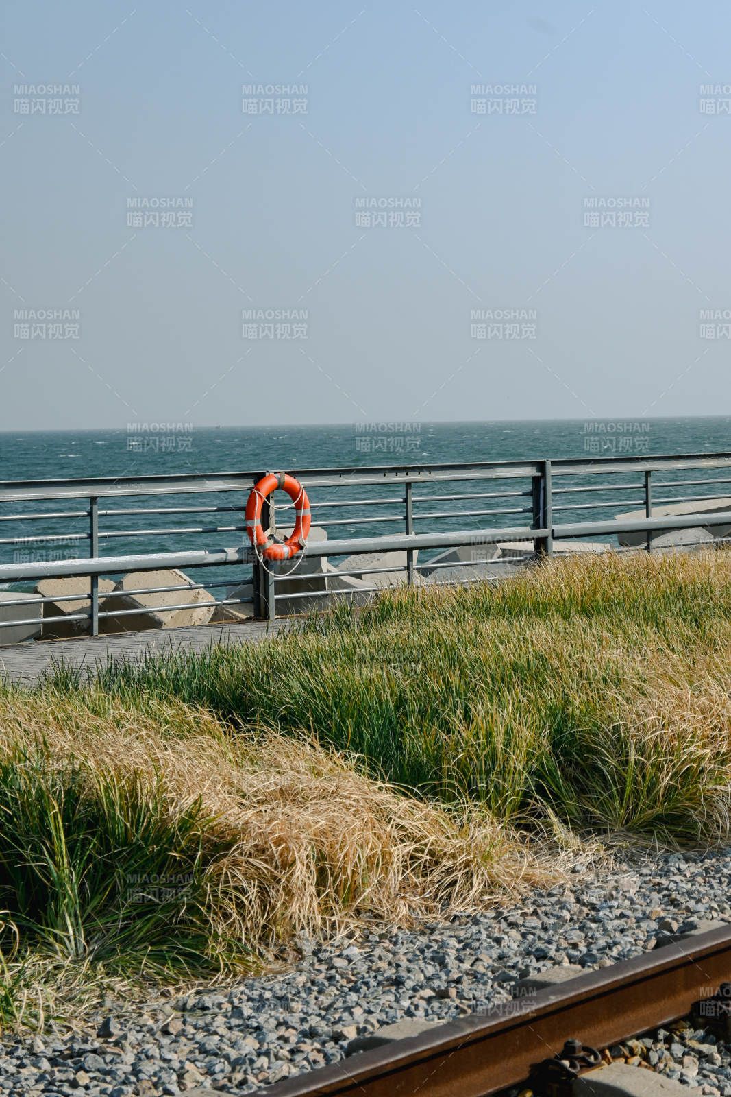 海边救生圈图片