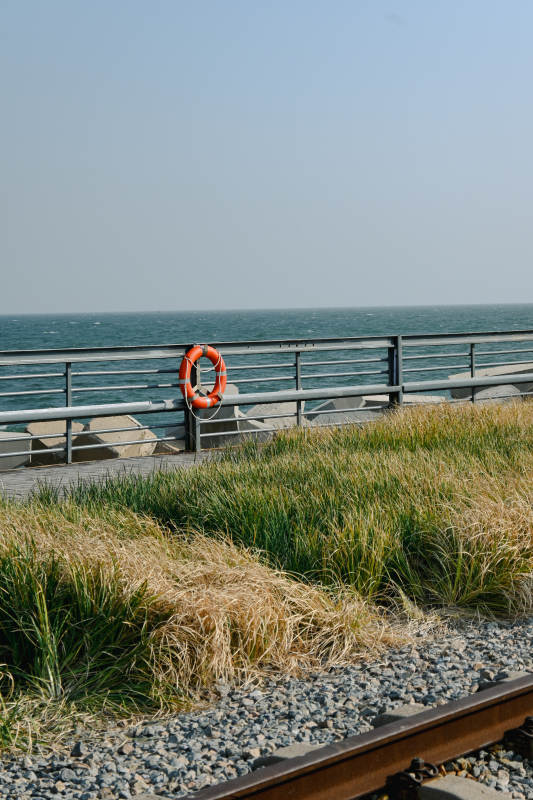 海边救生圈图片