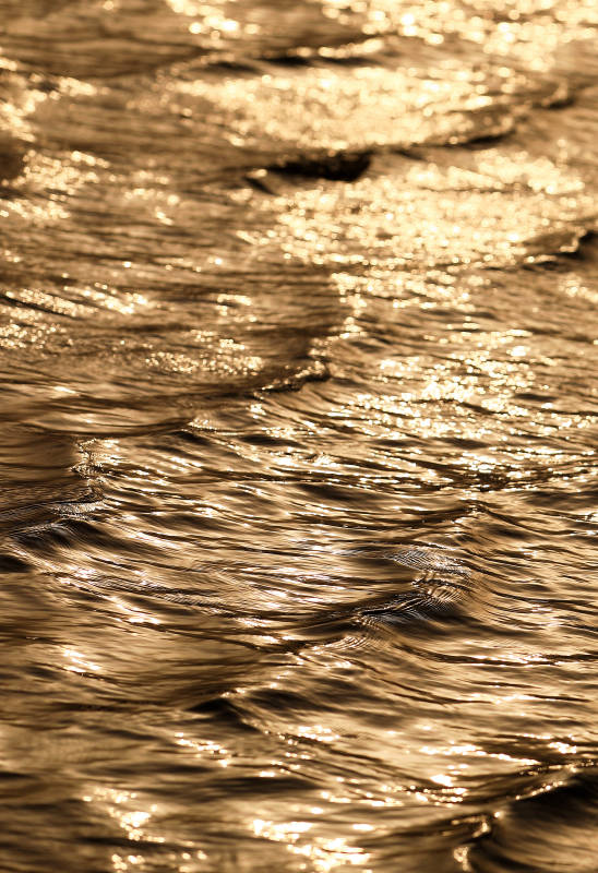 金色波光粼粼的水面图片