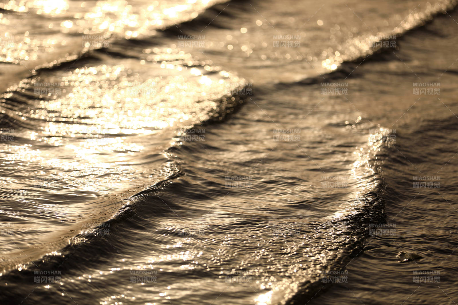 夕阳下的波光粼粼图片