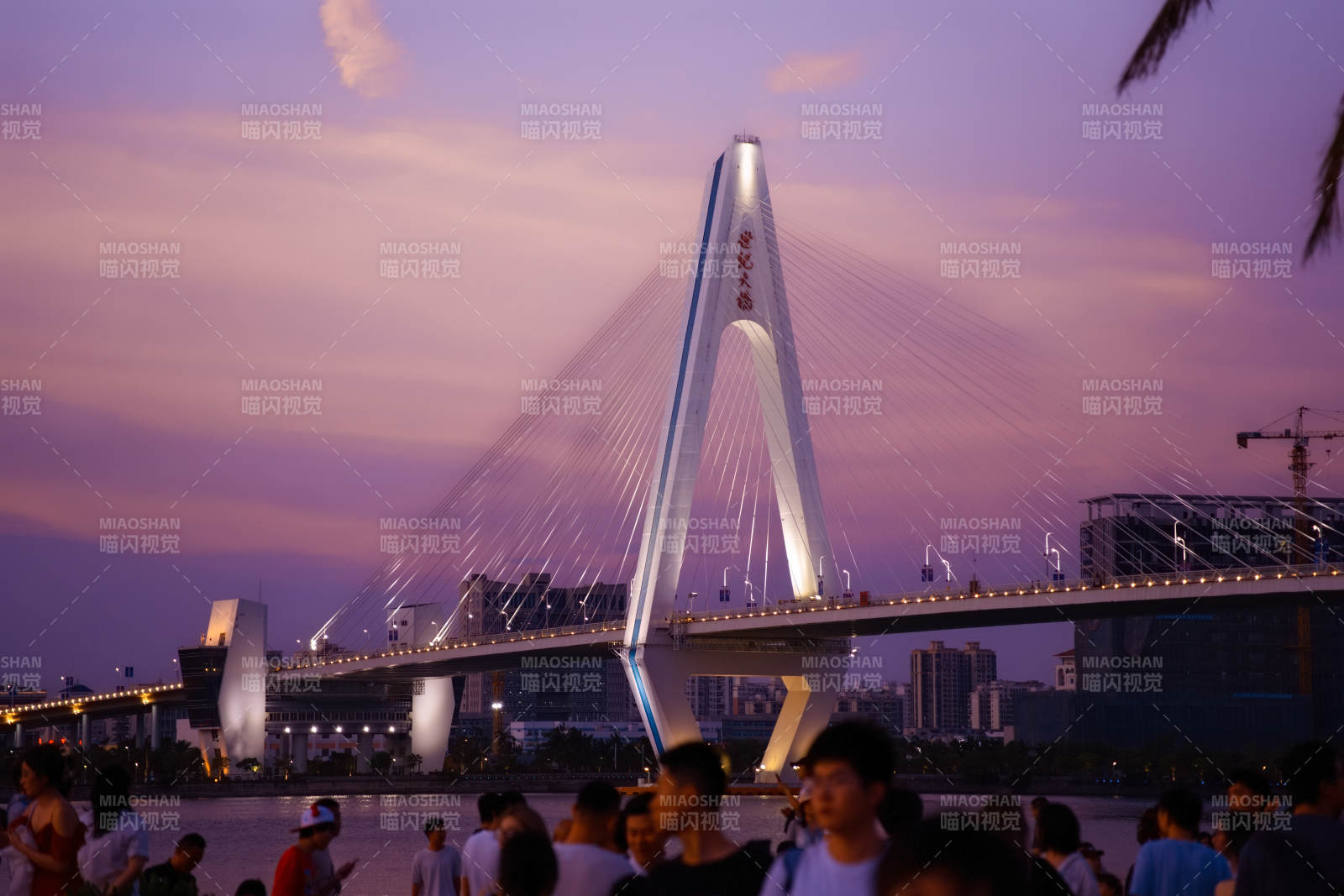 夕阳下的城市桥梁图片