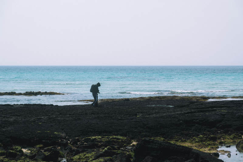海边独行者图片