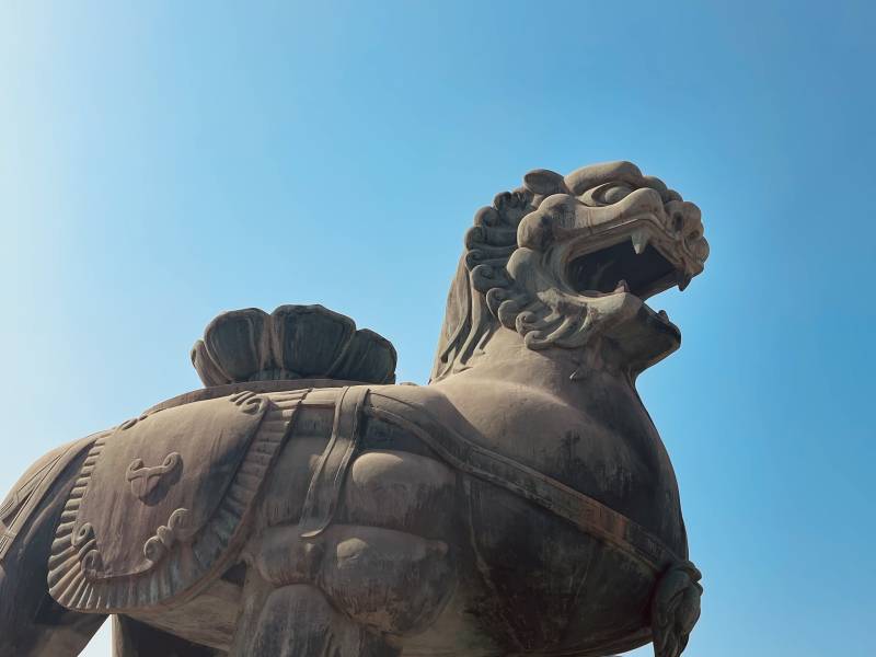 石家庄水上公园震海吼图片