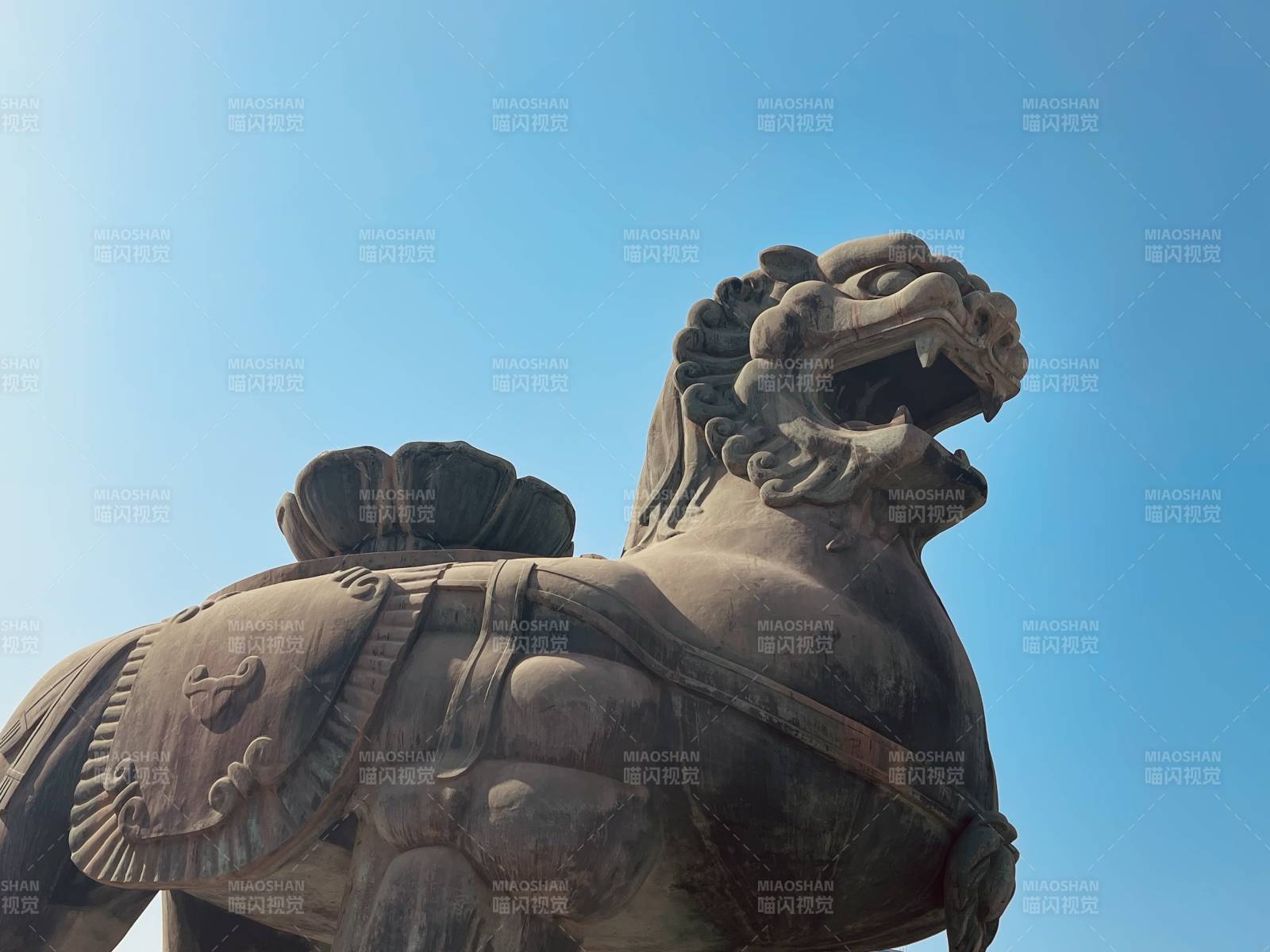 石家庄水上公园震海吼图片